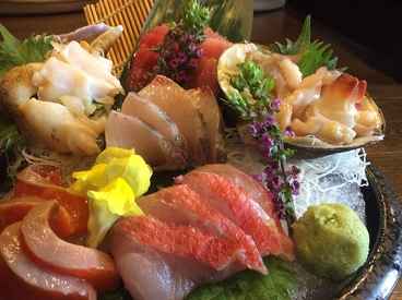 粋活酒場  千葉人