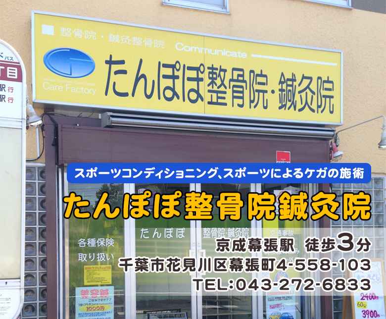 たんぽぽ整骨院・鍼灸院