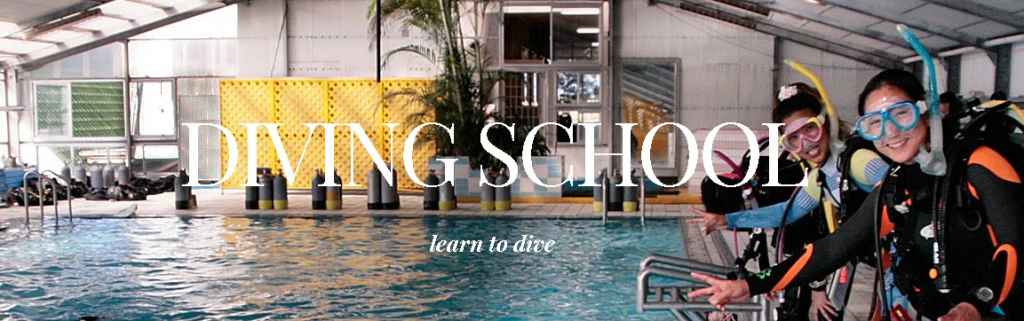 オーシャンドリーム