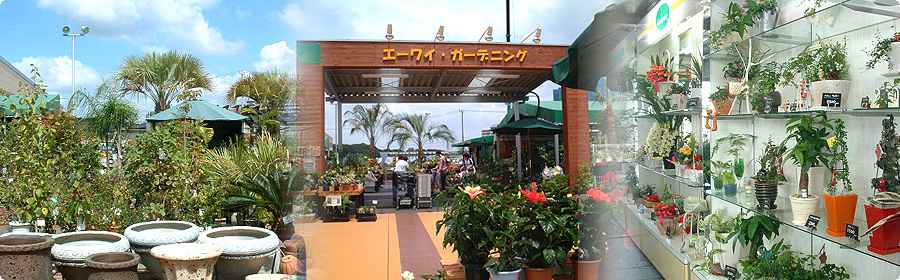 エーワイ・ガーデニング