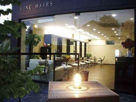 FINE HAIRS