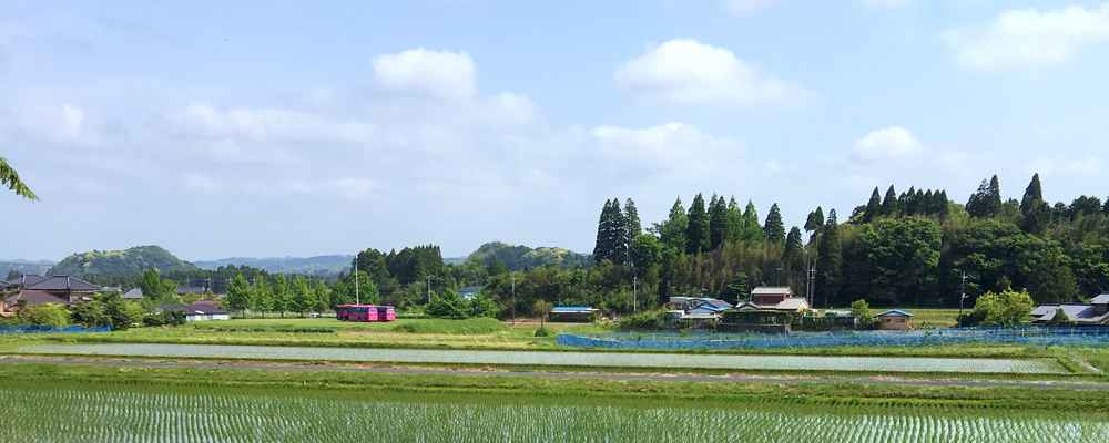いちじくカフェ　キッチンさわ