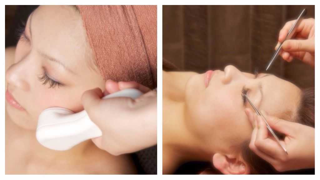 夢の樹 イオン幕張店