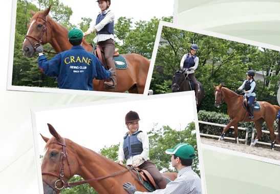 乗馬クラブクレイン千葉 富里