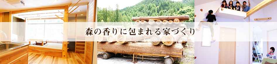 森林浴体感ショールーム 心体美人