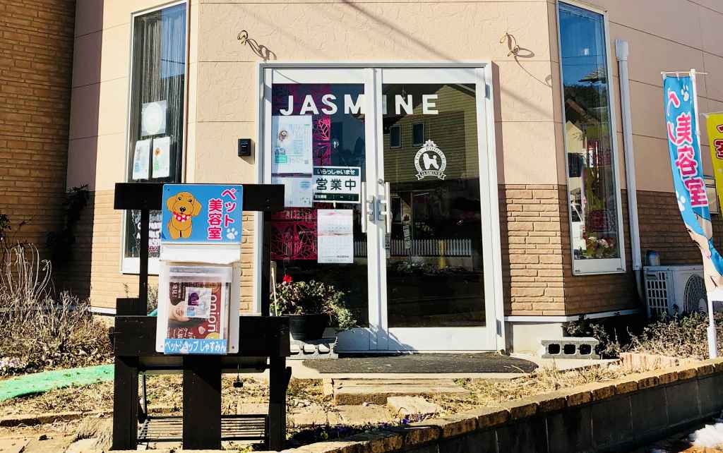 COMPANION ANIMALS JASMINE