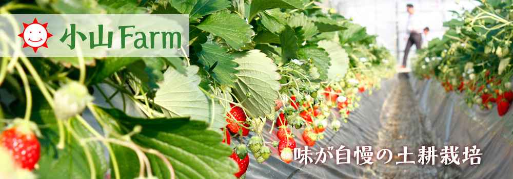 小山ファーム