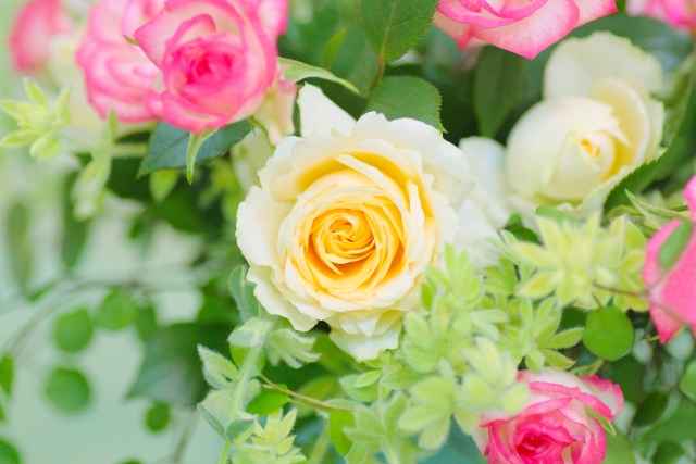 松戸市社会福祉協議会 常盤平団地地区社会福祉協議会