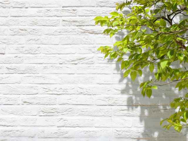 グリーンリーフ 西千葉店