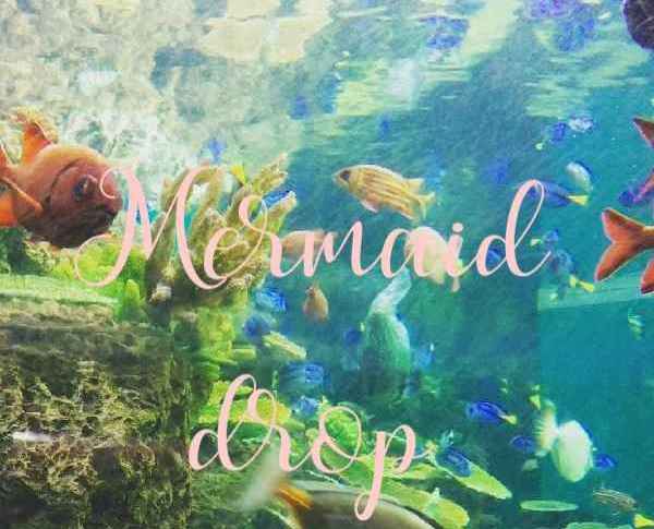 Mermaid drop2017
