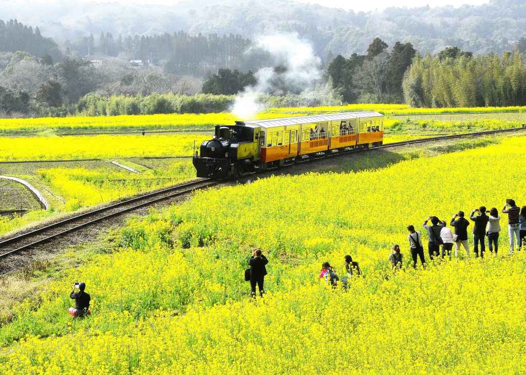 【鉄泊】千葉県市原市 / 養老渓谷駅ステーション